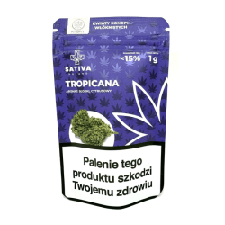 Susz CBD Sativa 1g